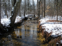 We are open for deer and turkey hunting.